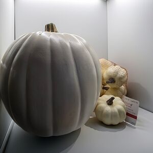 White Decorative Pumpkin Set